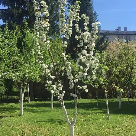 Ilidza بيت للعطل Semizovac